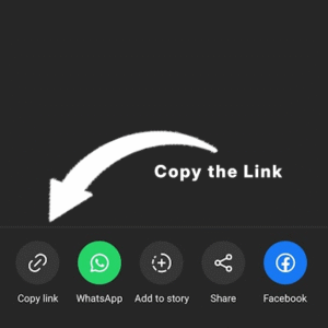 download instagram video