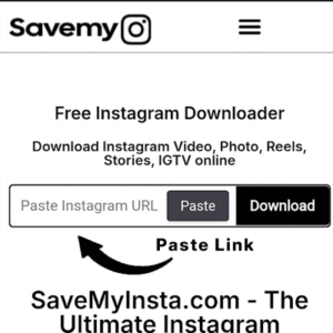 download instagram video